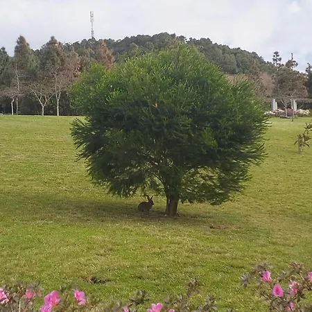 Casa Do Calco Ponta Delgada