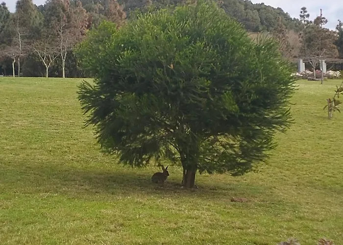 Casa Do Calco Ponta Delgada